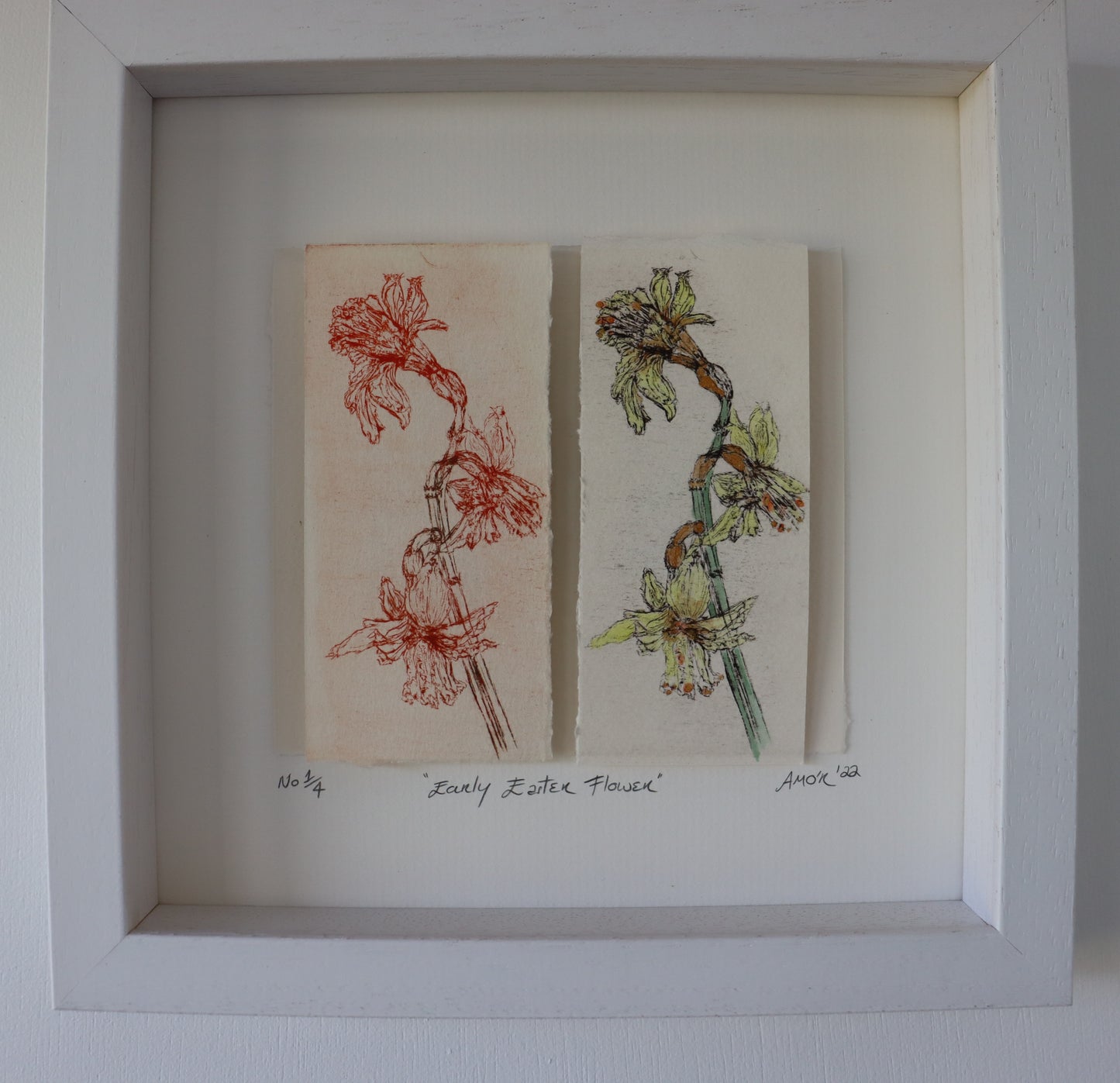 'Early Easter Flower' Original Drypoint Etching & Watercolour